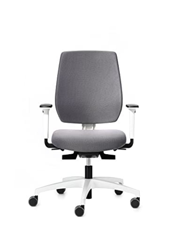 Dauphin Speed-o Comfort, ergonomischer Bürostuhl für das Homeoffice, höhenverstellbare Armlehnen, automatische Gewichtsanpassung (weiß | grau) - 2
