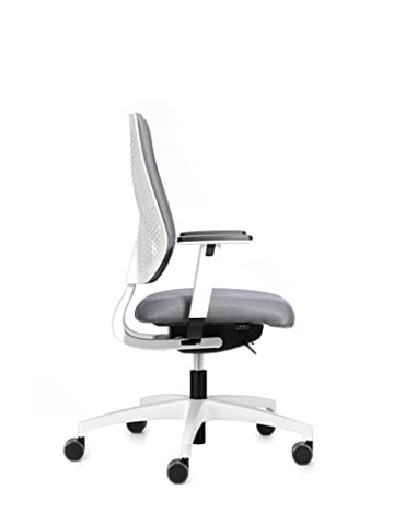 Dauphin Speed-o Comfort, ergonomischer Bürostuhl für das Homeoffice, höhenverstellbare Armlehnen, automatische Gewichtsanpassung (weiß | grau) - 3