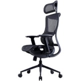 Dowinx Ergonomischer Bürostuhl- Computerstuhl mit hoher Rückenlehne, Höhenverstellbarer Sitz mit Lordosenstütze, Schreibtischstuhl aus Netzgewebe mit 3D-verstellbaren Armlehnen (Schwarz) - 1