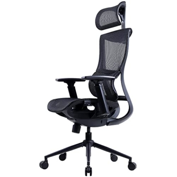 Dowinx Ergonomischer Bürostuhl- Computerstuhl mit hoher Rückenlehne, Höhenverstellbarer Sitz mit Lordosenstütze, Schreibtischstuhl aus Netzgewebe mit 3D-verstellbaren Armlehnen (Schwarz) - 1