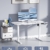 JUMMICO Höhenverstellbarer Schreibtisch 120x60 cm mit USB-Buchse und Kabelwanne, Schreibtisch Höhenverstellbar Elektrisch Verstellbarer Computertisch, Steh-Sitztisch Stehpult Stehschreibtisch(Weiß) - 4