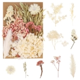 ALTcompluser Natürliche Getrocknete Blumen, Trockenblumen Set, für DIY Gepresste Blumen, Scrapbooking, DIY-Kerze, Schmuckanhänger Basteln(Gemischte Farbe) - 1